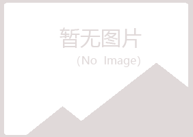 五大连池岑迷咨询有限公司